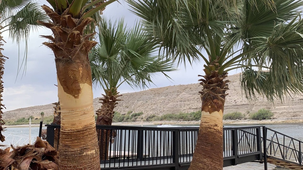Laughlin Apartment | Riv a holic