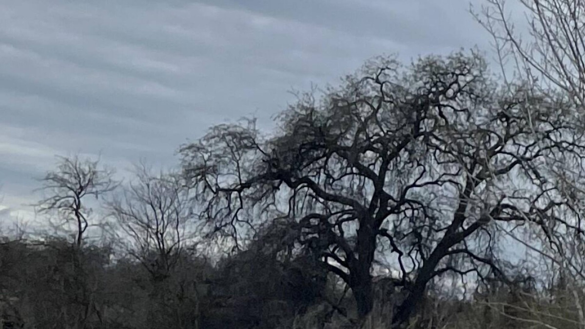 Raisin House | River country home- near Kingsburg