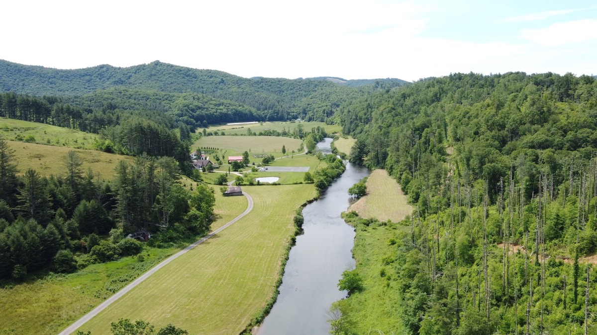 West Jefferson Cabin | River Front Cabin, Private Ponds & Hiking Trail-Located at The Barn on New River
