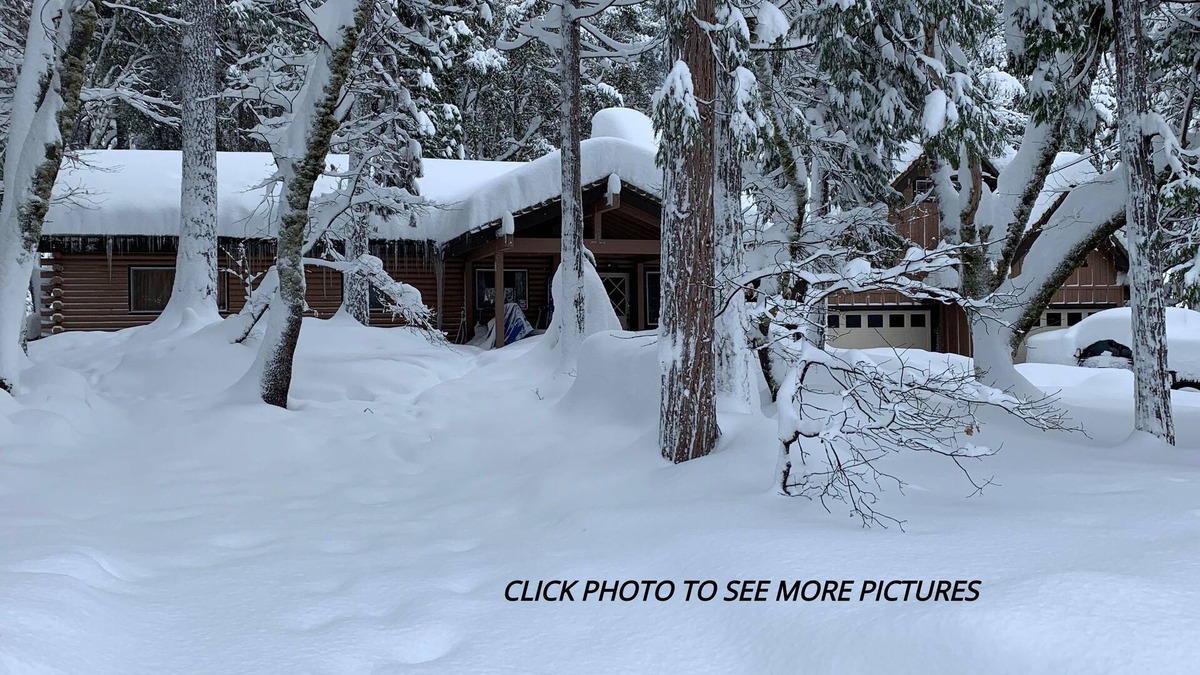 Sierra City Cabin | River Front Mountain Cabin in the California Alps!