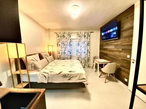 Hainburg Apartment | RIVER FRONT NEAR FRANKFURT-AIR CONDITIONER-Private PARKING