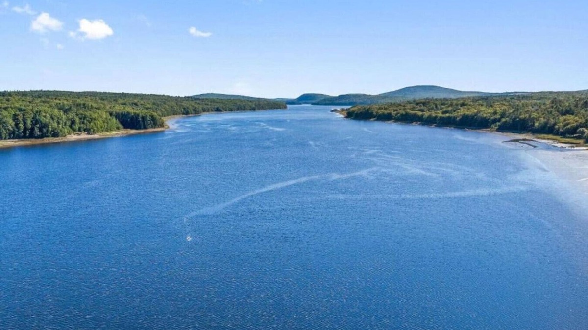 Winterport Cottage | River Retreat -Stylish, Stunning Water View, Dogs, Fire Pit, Private, Yard Games