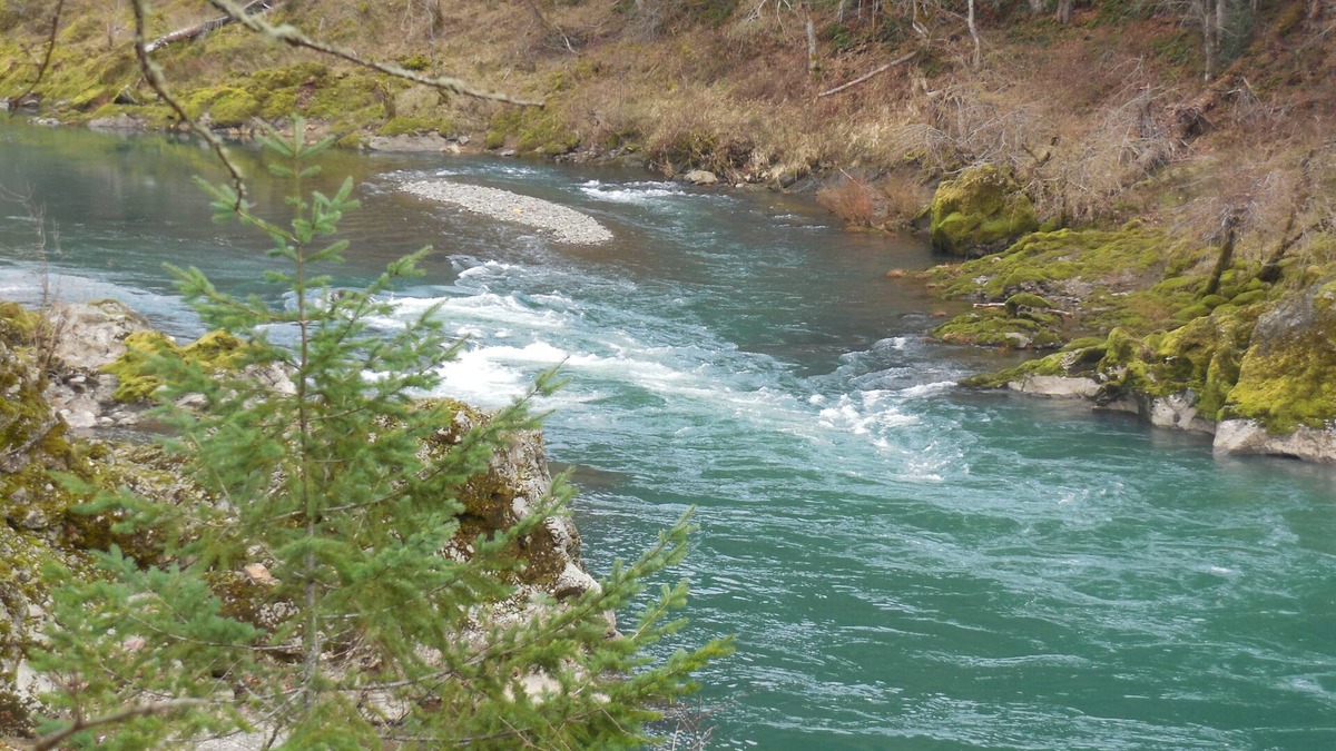 Roseburg House | River Vista Homes: Swim, Fish, and Unwind with Scenic Riverside Views
