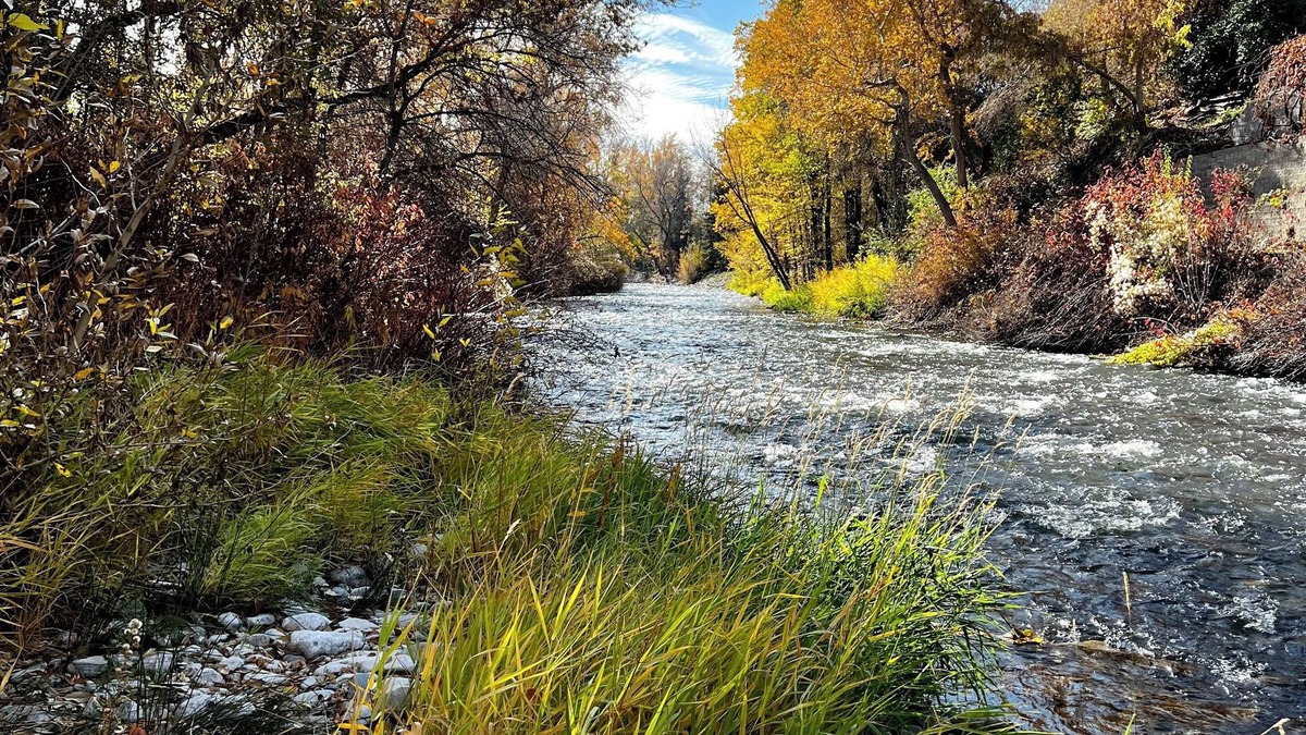 Scera Park South House | Riverbottoms 1-Acre Estate on the Provo River