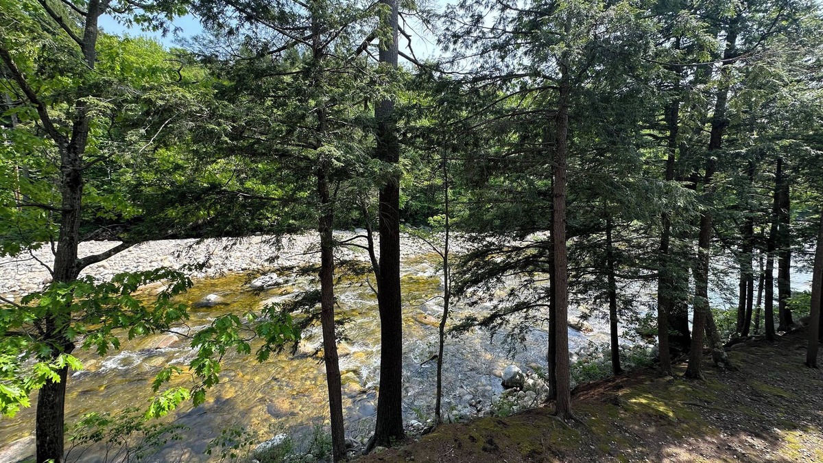 Lincoln Condo | Riverfront Condo, walk to Mountain and Town!