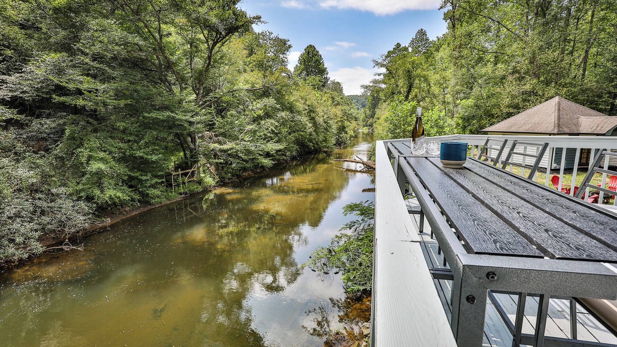 Ellijay Cabin | RiverFront/Fenced/LOVEDogs/KingBeds/Sauna/Steam