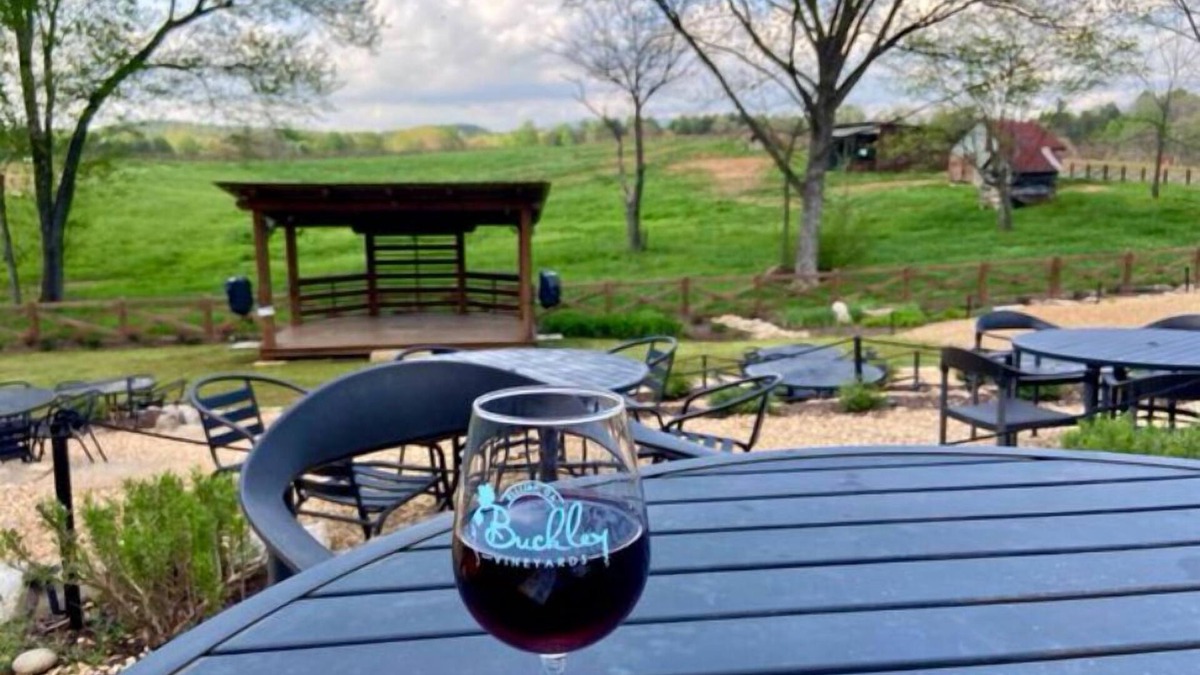 Ellijay Cabin | RIVERFRONT+ NEW Hot Tub + Apple Orchards + Close to Wineries + Downtown