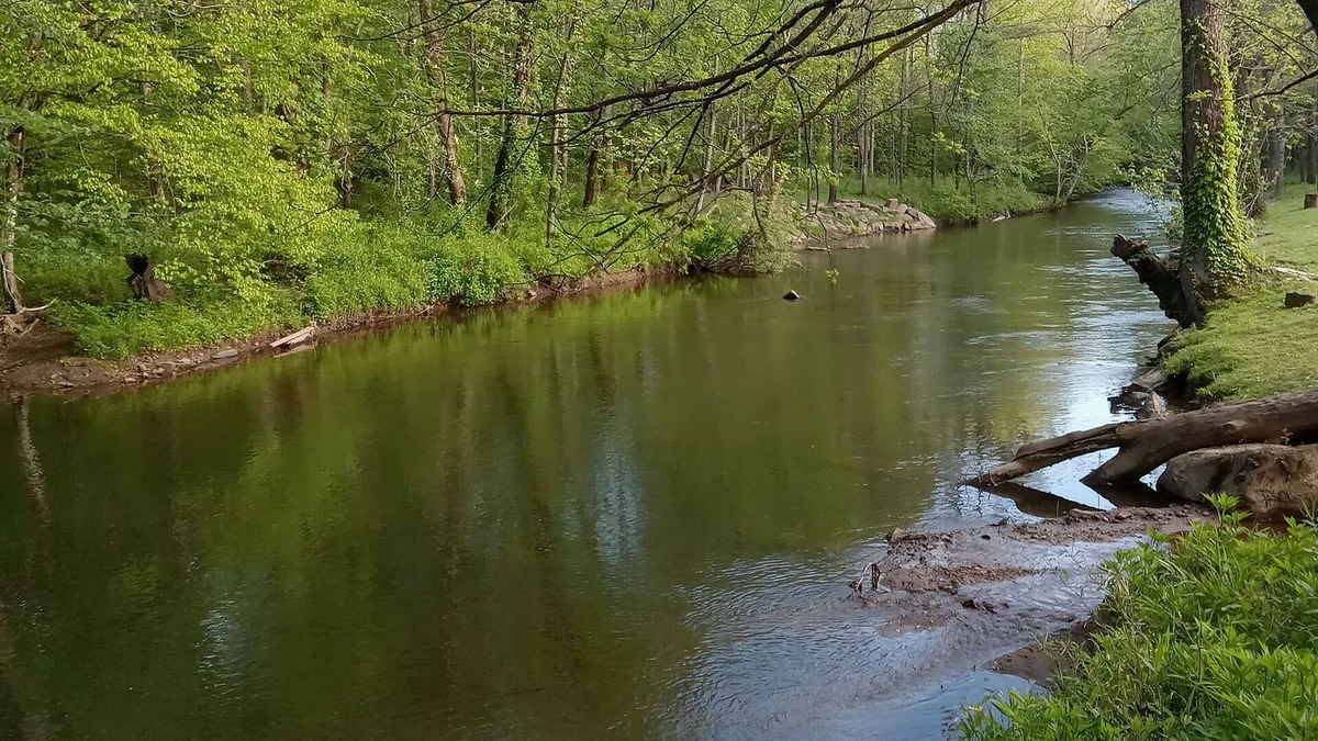 Robbinsville House | Riverside. Queen & Bunk bed-charcoal and firewood included. Pet friendly