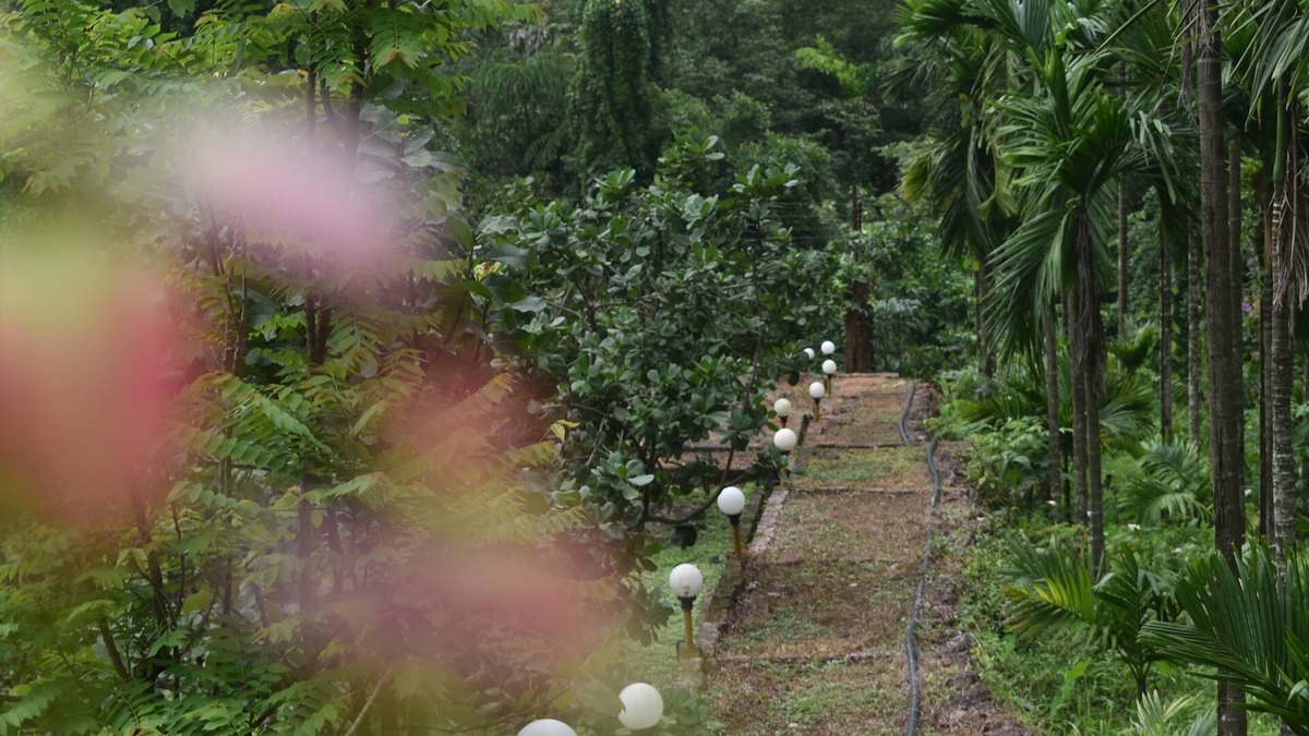 Ladghar Resort | Riverstone Nature Resort