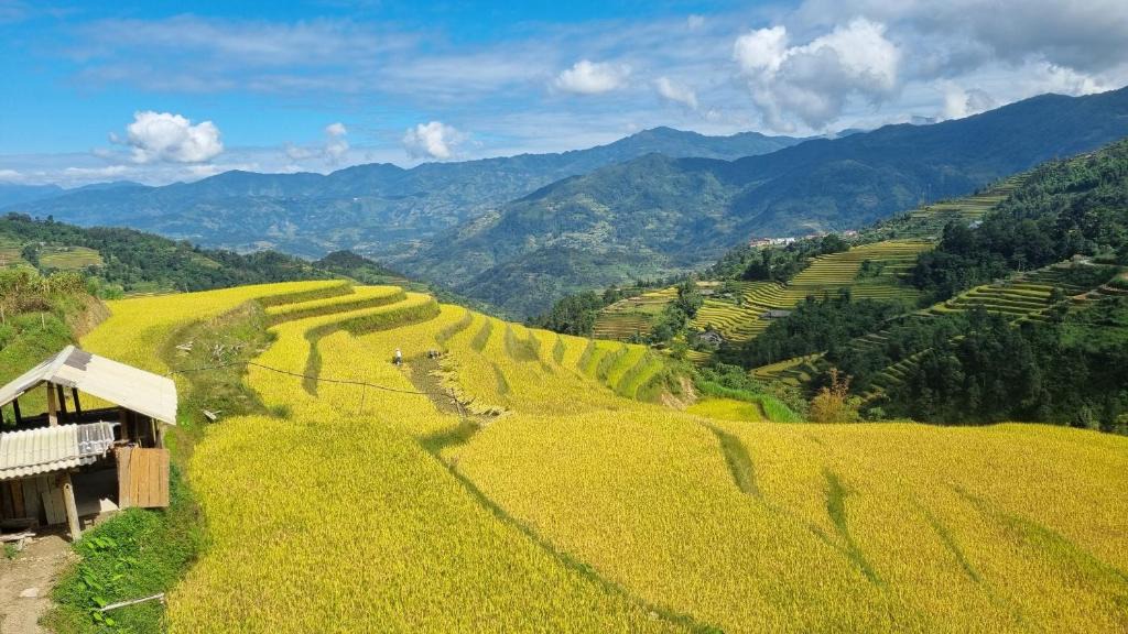 Ta Su Choong Cabin | Riz d'Or Ermitage - Hoang Su Phi