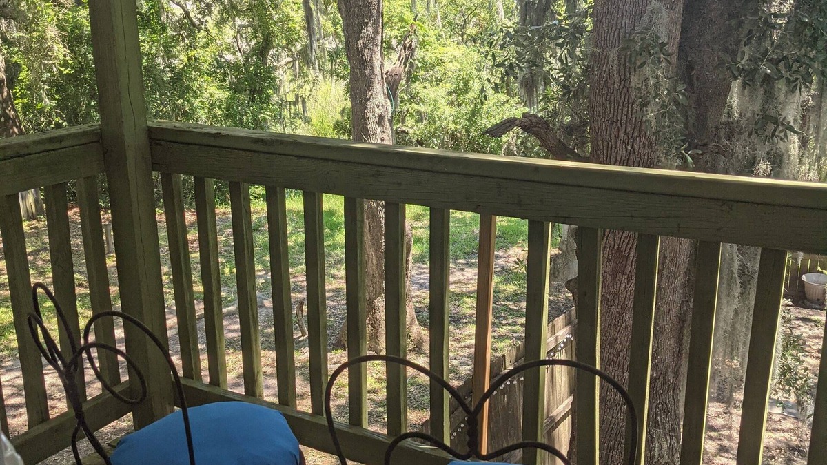 North Charleston House | Robyn's Nest