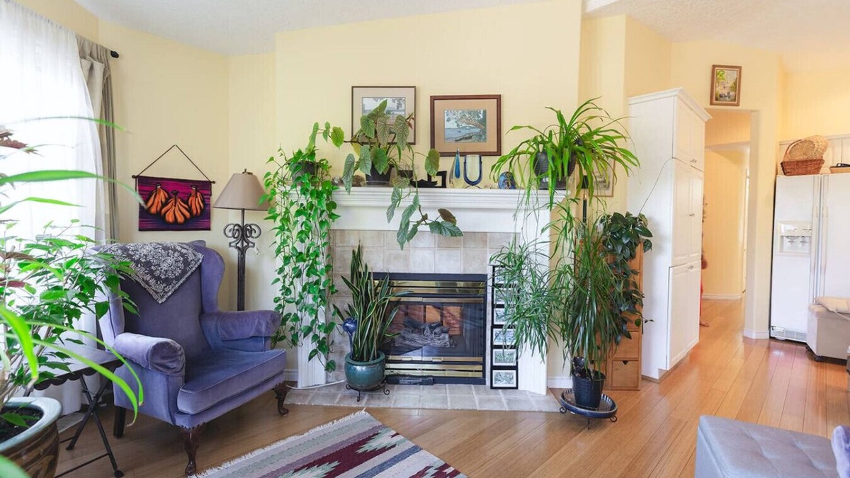 North Cowichan House | Rockwood Terrace: 55 + Ideal for Extended Stays