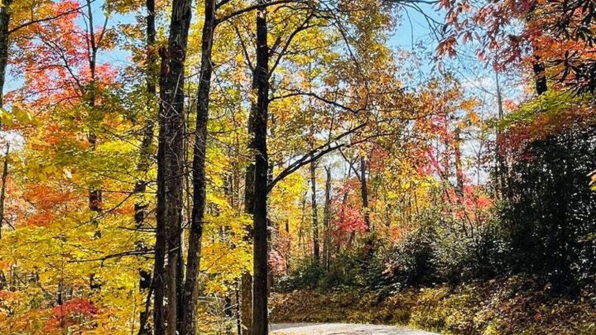 Gatlinburg House | Romantic Cabin, Mnt View, Perfect Location❤️