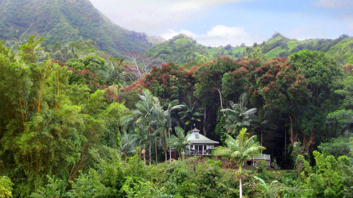 Wainiha House | Romantic Cottage, Private Acre of Paradise, View! Pool!