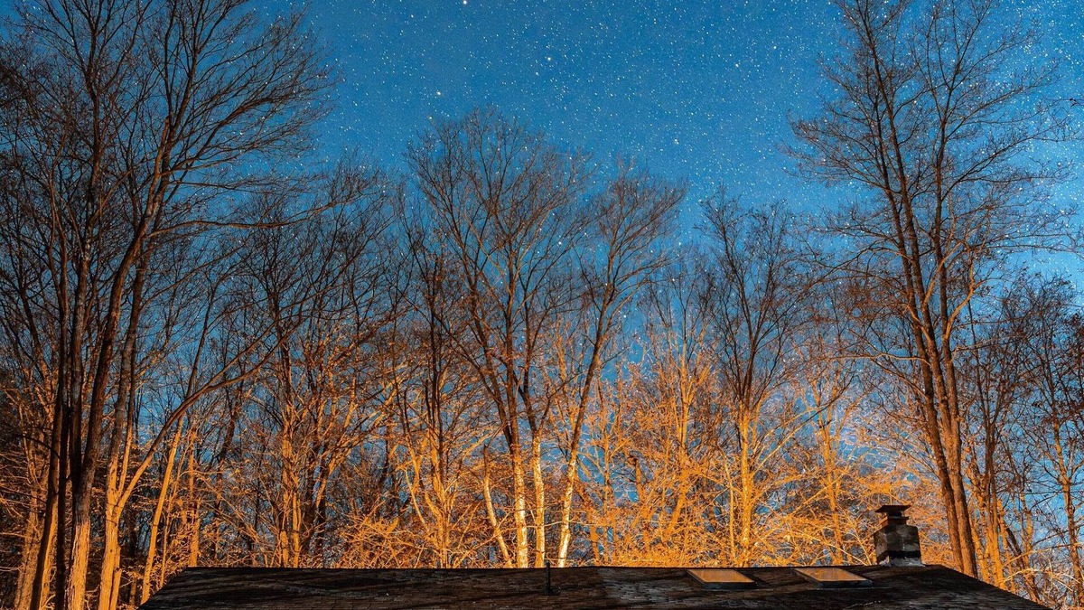 Gouldsboro Cabin | Romantic Cozy Cabin, fire place, grill, relax, small groups of friends, family