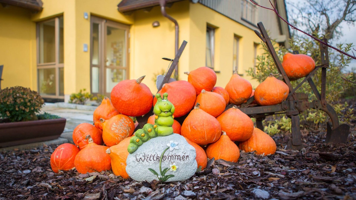 Jenkwitz Apartment | romantic double room with plenty of space to dream and linger