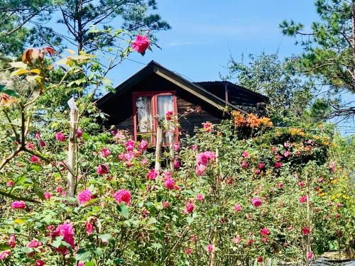 Da Lat Ski Chalet | Romantic house 2 on a pine hill Dalat