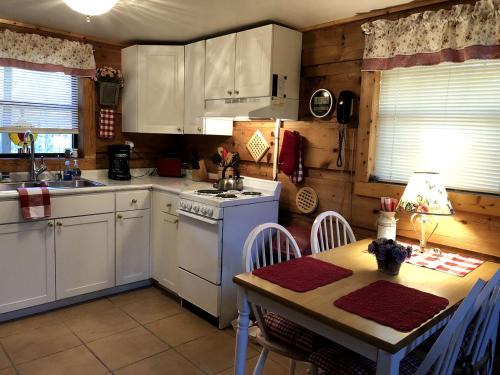 Tellico Plains House | Romantic Log Cabin with Hot Tub near Cherokee National Forest, Tennessee