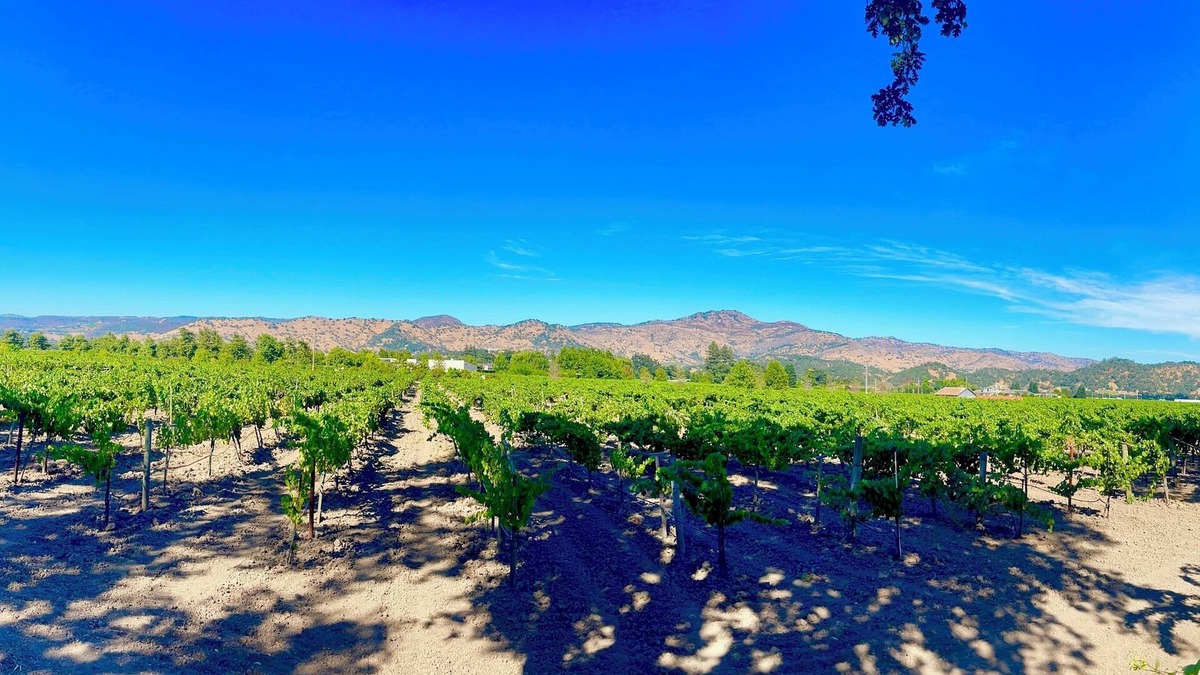 Yountville House | Romantic Luxury 3-BR Modern Farmhouse with EVERYTHING. In Charming Yountville