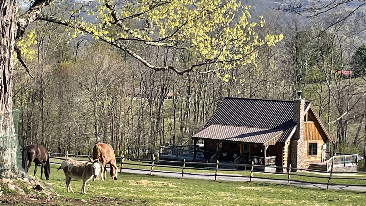 Dryfork Cabin | Romantic "Morning Glory” for 2 has a tranquil setting across from a horse farm!