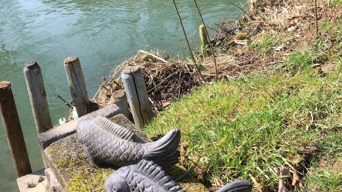 Courchavon Apartment | Romantic riverside apartment in a large Park near Porrentruy.