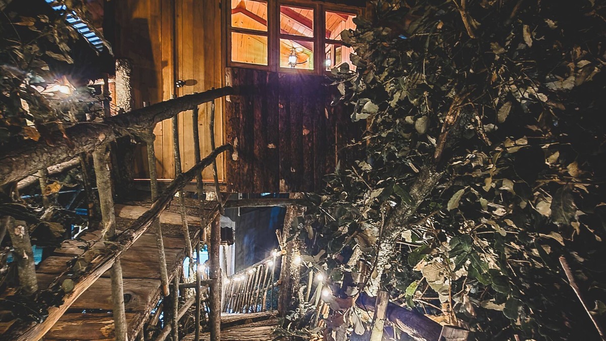 Mineral del Chico Cabin | Romantic treehouse with forest view and extensive green areas