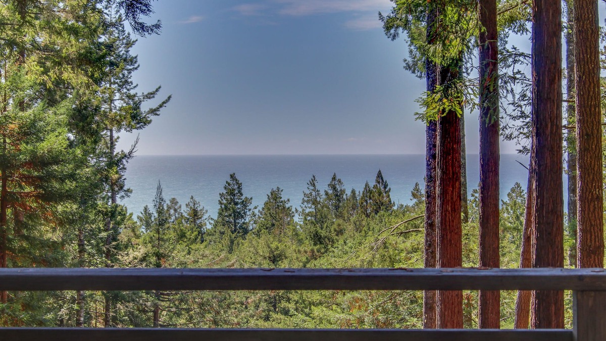 Anchor Bay Cabin | Romantic woodland haven with private hot tub, deck & gorgeous forest/ocean views
