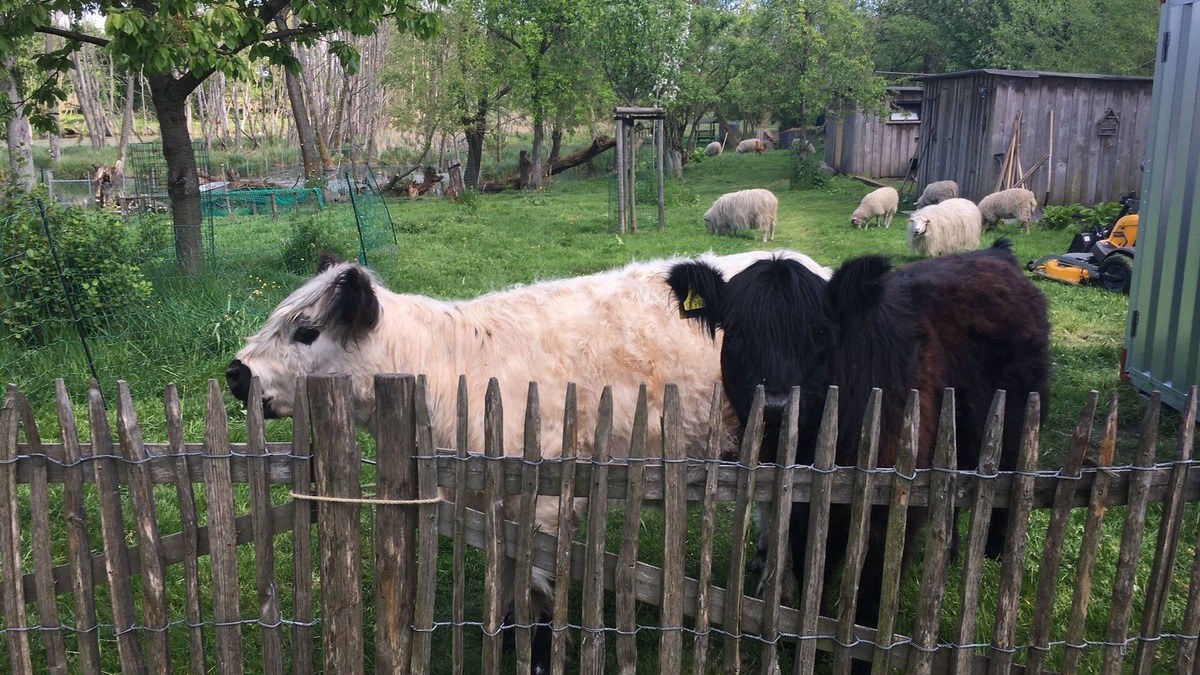 Pradikow House | Romantisches Versteck II