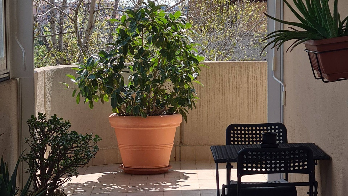 Rome Province Apartment | Rooms And Comfort Apartment