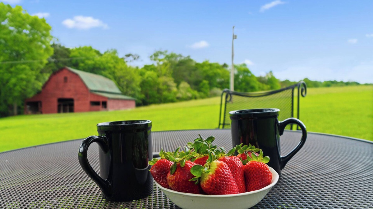 McMinn County House | Roomy - Sunroom - Near Wedding Venues - 9 Acres