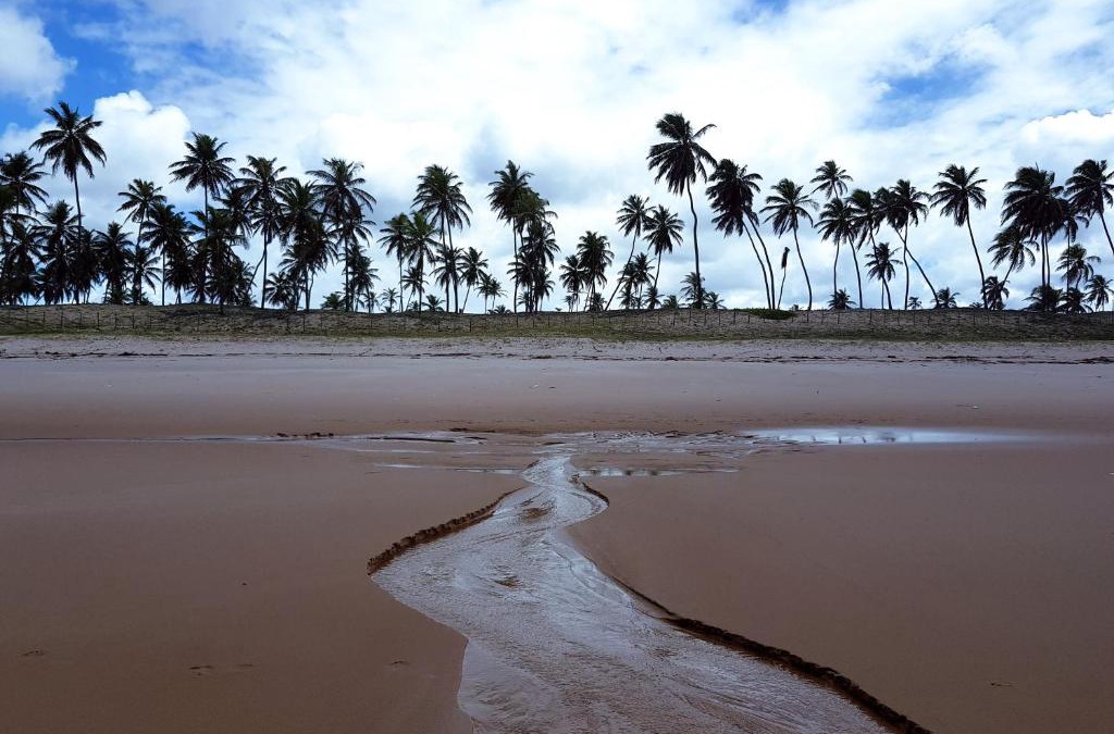 Santo Antonio Apartment | Rosagash Paradise - Praia de Santo Antonio