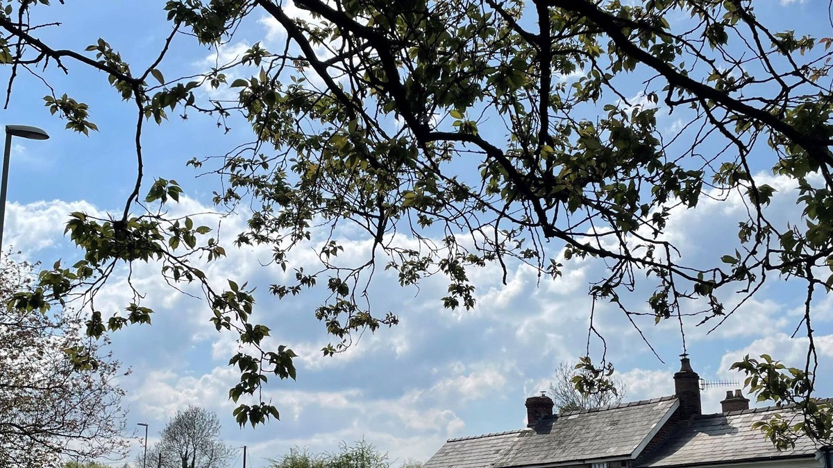 Llanvihangel Crucorney House | ROSE COTTAGE, pet friendly, character holiday cottage in Abergavenny
