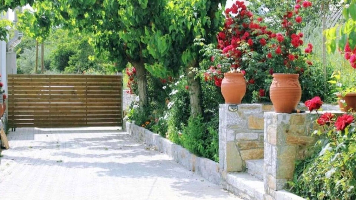 Kamariotis House | Rose Hedge