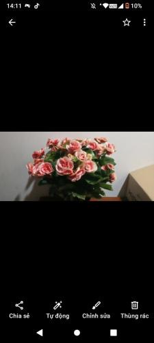 Bac Ninh Apartment | Rose house