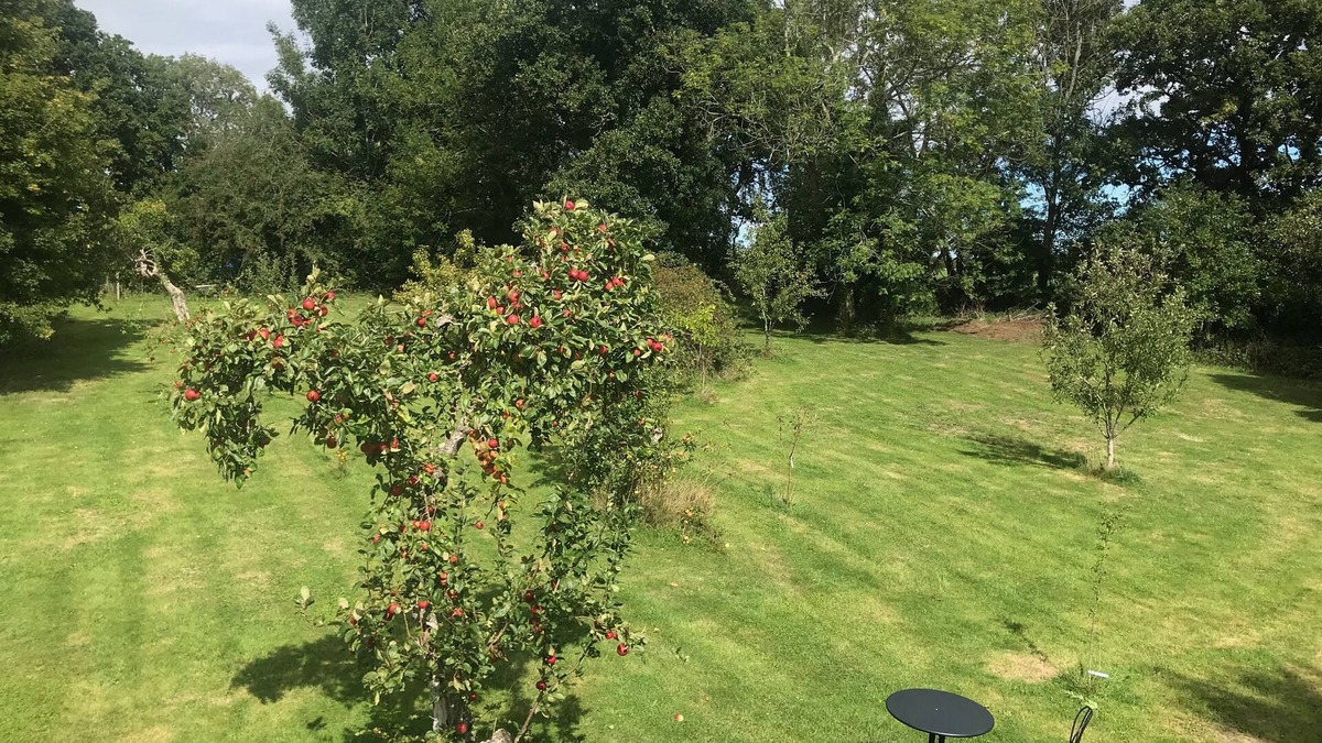 Etchingham Bed & Breakfast | Rosebank Bed & Breakfast