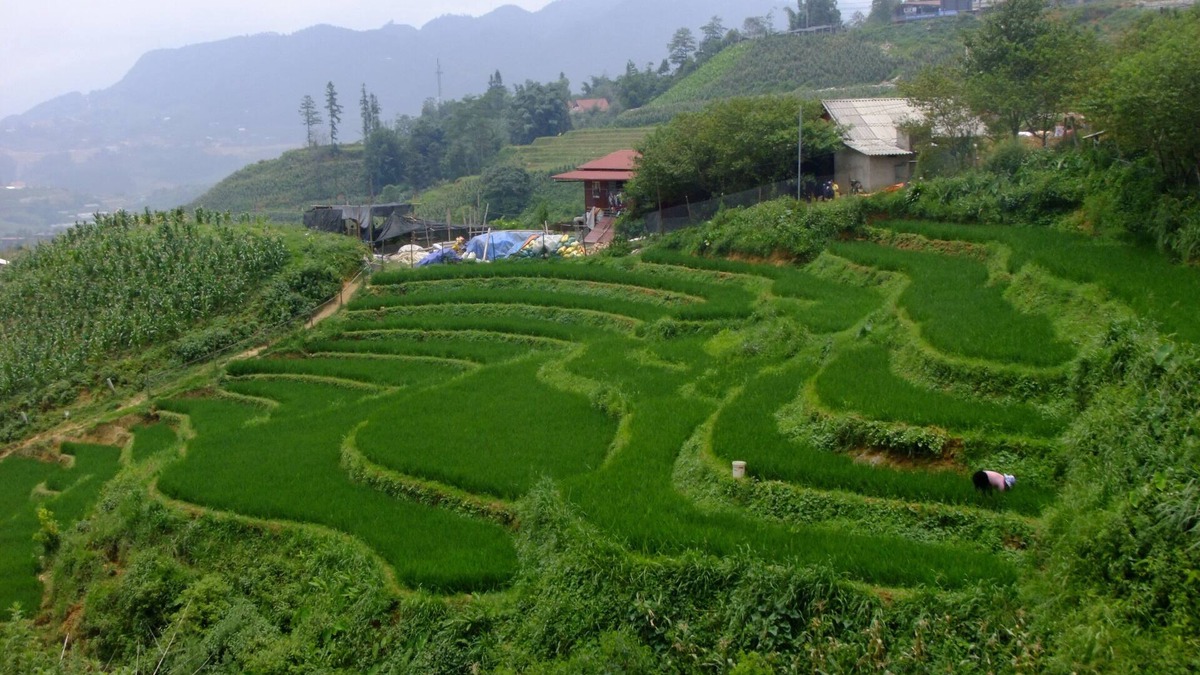 Sa Pa House | Rosie House Sapa Lao