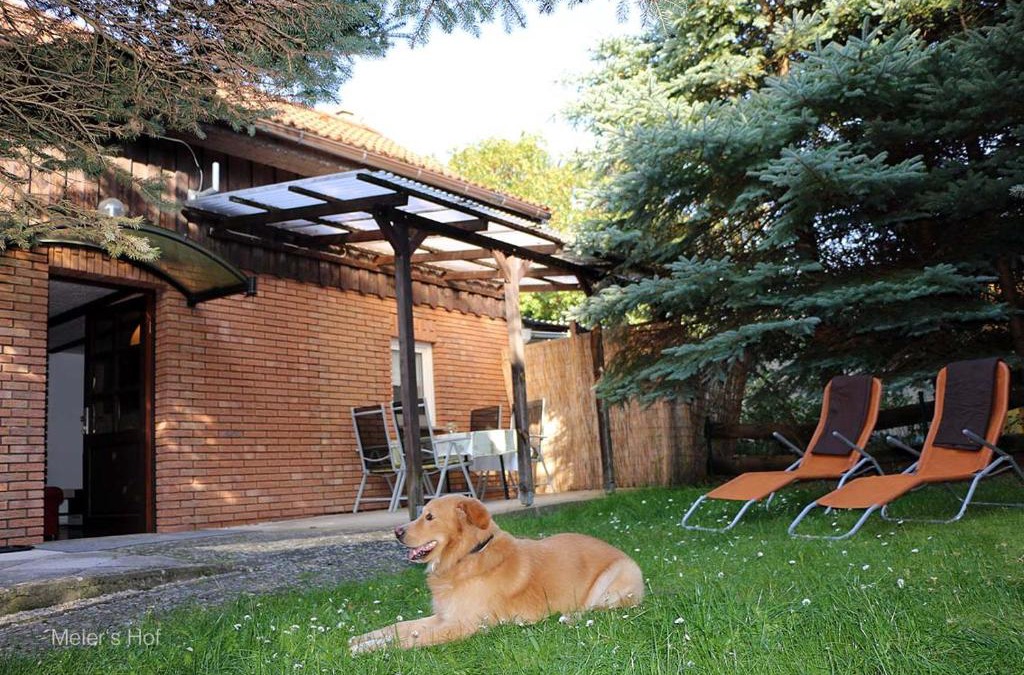 Kratzeburg House | Rotkäppchen