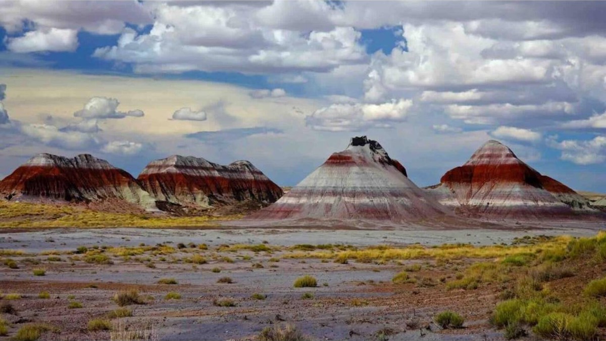 Joseph City Condo | Route 66 Painted Desert Adventure Base Camp