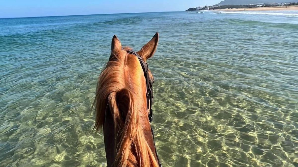 Mediouna Bed & Breakfast | Royal Club Detroit Bed and Breakfast