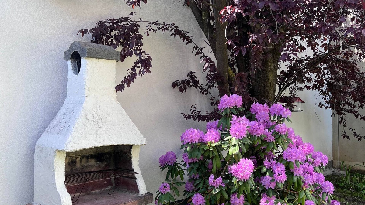 Knittelfeld Apartment | Royal Racing Suite Top3 - Royal Racing Suite KF