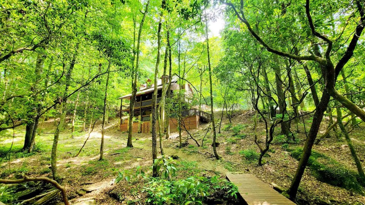 Suches Cabin | Ruhewald Cabin - Hot Tub, 3 Creeks w/Waterfalls, Remote