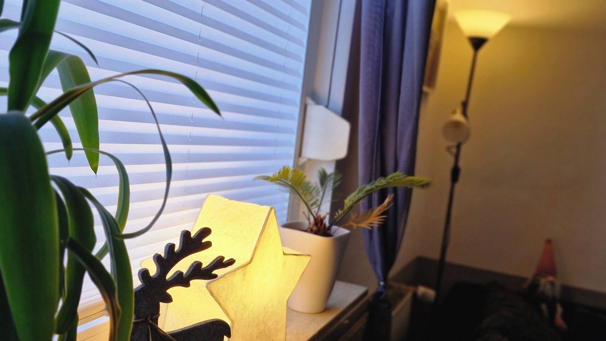 Bad Lauterberg Apartment | Ruhig und Doch Zentral! Apartment mit Garten