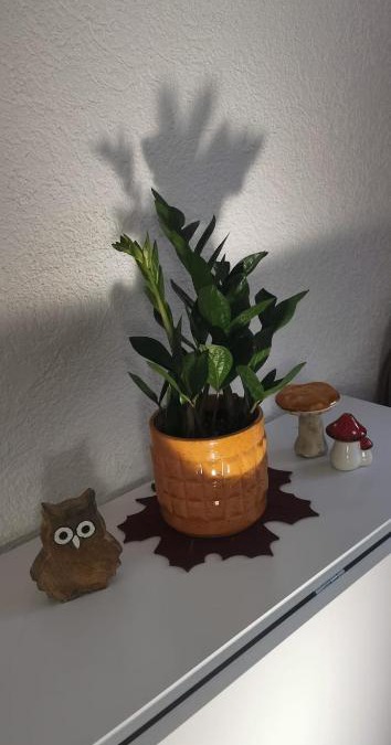 Seligenstadt Apartment | ruhige Sout. Whg. Feldrandnähe