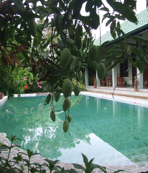 Kasihan Bed & Breakfast | Rumah Sawah