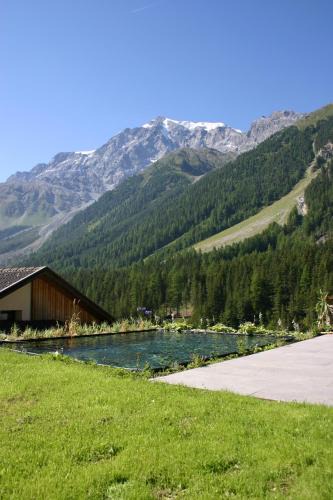 Stelvio Apartment | Rumwaldhof - Wohnung Edelweiß