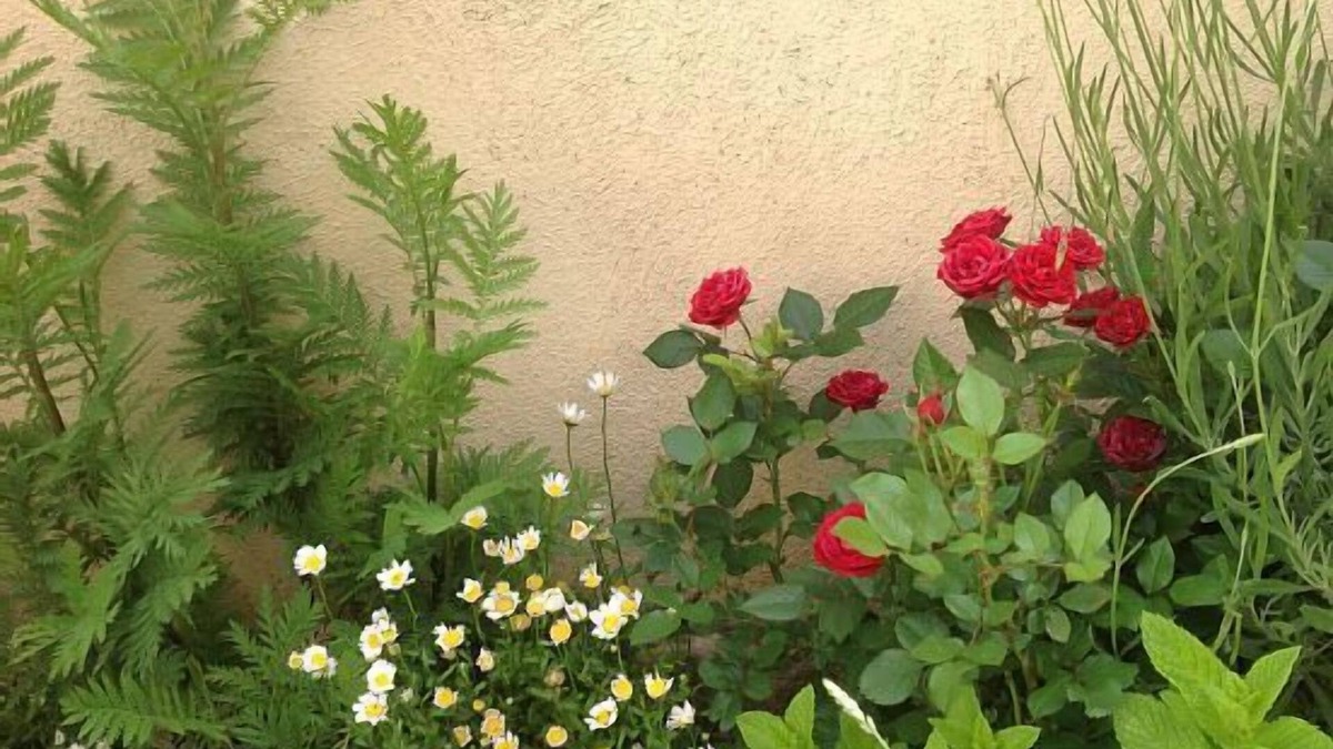 Miranda de Arga Cottage | Runa Rural House for 7 people