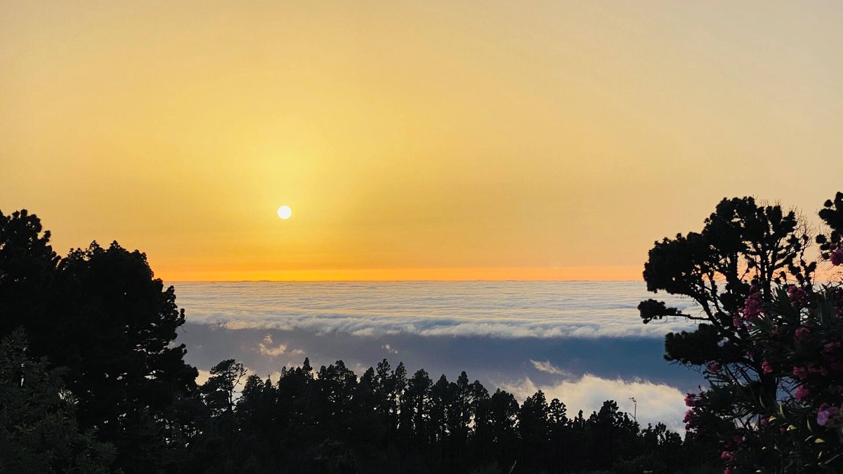 Garafia Cottage | Rural house in vineyard area