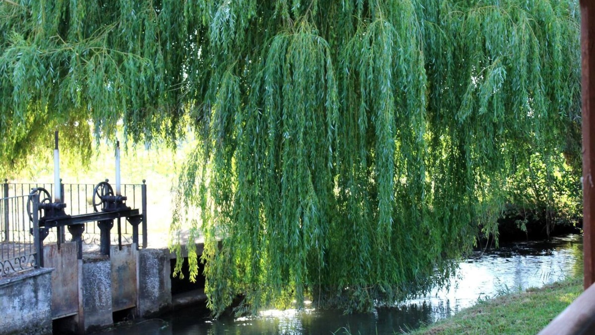 Saldana House | Rural House 'Molino El Sotillo' with Private Garden and Wi-Fi