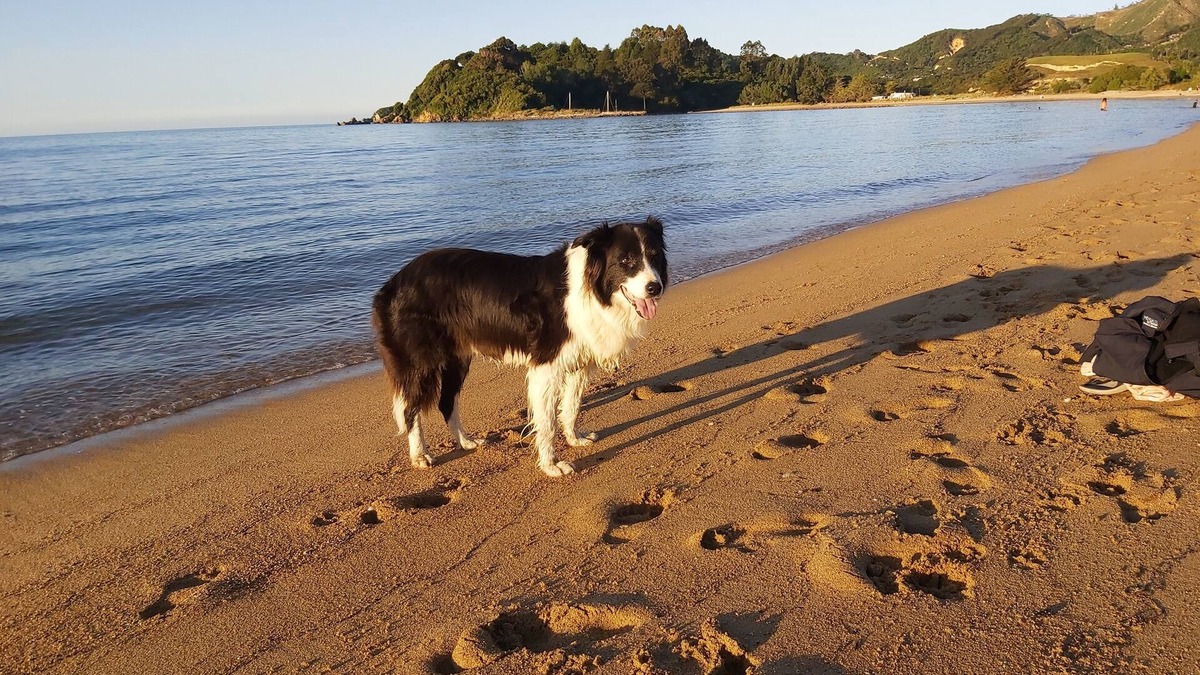 Tata Beach House | Ruru at Ligar Bay