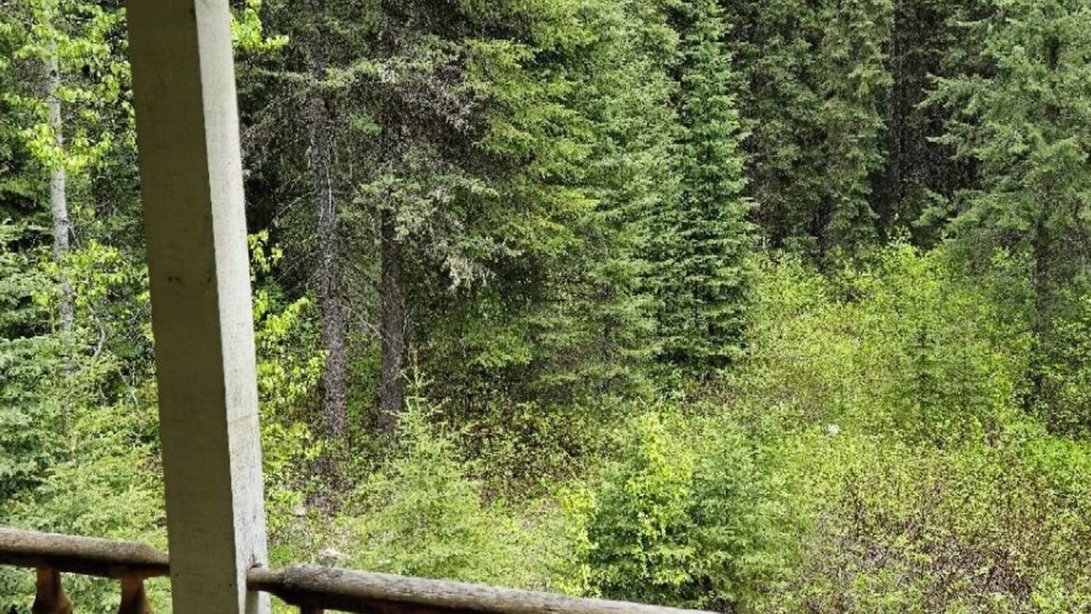 Golden Cottage | Rustic Beaverfoot Lodge Executive Cabin